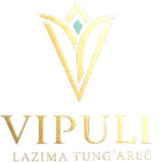 VIPULI Logo